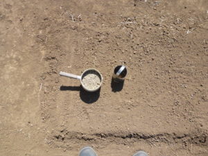 plant seedling tools