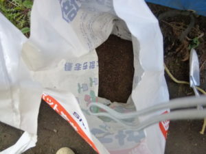 sowing soil inside