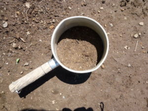 seeding soil