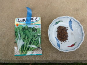 seed of garland chrysanthemum