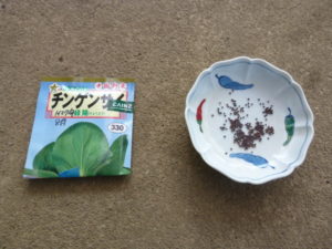 seeds of bok choy