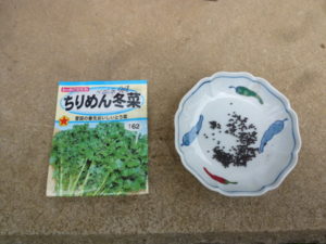 seeds of chirimen fuyuna