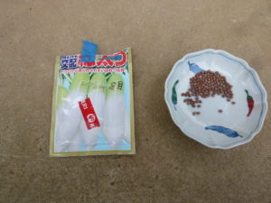 seeds of japanese white radish