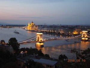 buda castle hill night view north 1949