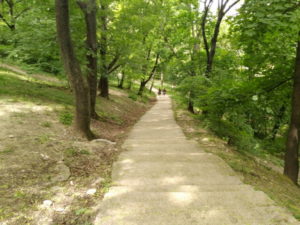 gellert hilll narrow slope