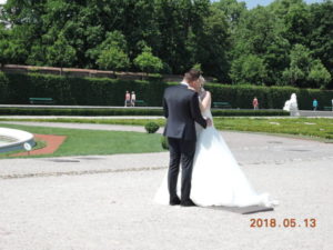 vienna belvedere palace garden center