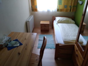 vienna hotel restaurant frits matauschek room window