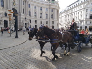 vienna saint michael's square charriage