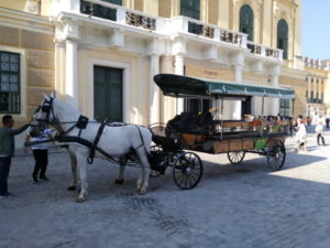 vienna schonbrunn palace carriage
