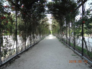 vienna schonbrunn palace rose garden arch inside