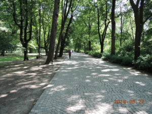 warsaw lazienki park path
