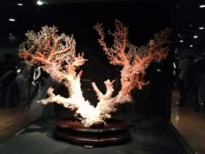 national palace museum preciouse red coral