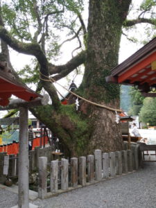 kumano-nachi-taisha-shoreisha