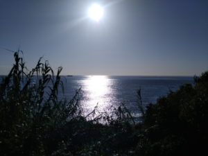 shiono-cape-view-from-park
