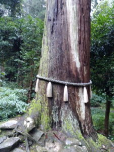 hyakusaiji-kannonsugi