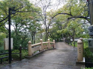negoroji-takimi-bridge