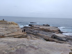 sirahama-town-senjojiki