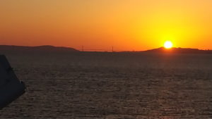 ferry sunflower view from open deck5