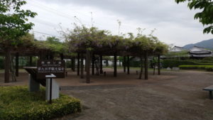 chiran fujidana park