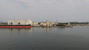 ferry sunflower kirishima view from deck5