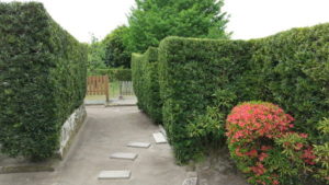 garden-of-hirayama-katsumi-garden5