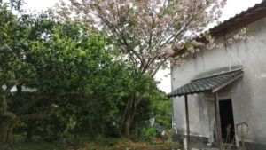 garden of mori sigemitsu dozo