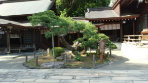 izumi shrine goyomatsu