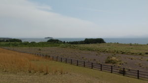 sakurajima akamizu view park1