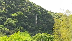 senganen garden senjingan zoom