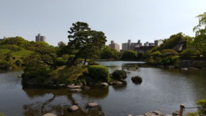 suizenji garden pond view form bridge
