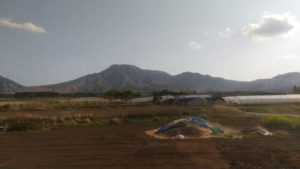 jr miyaji station view