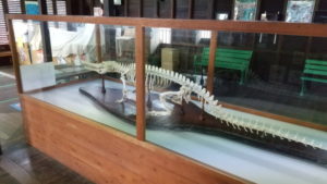 oniyama jigoku gharial