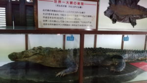 oniyama jigoku large stuffed crocodile