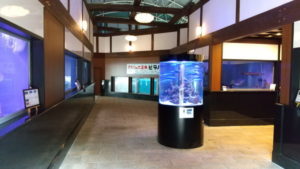 shiraike jigoku fish museum1