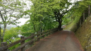 takeda path to bukeyashiki
