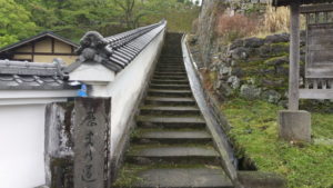 takeda steps