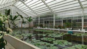umi jigoku greenhouse1