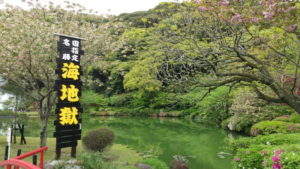 umi jigoku lotus pond1
