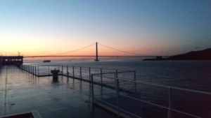 sunflower gold deck view morning1