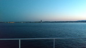 sunflower gold deck view morning2