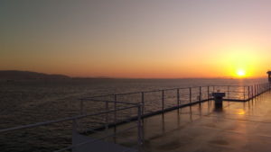 sunflower gold deck view morning5