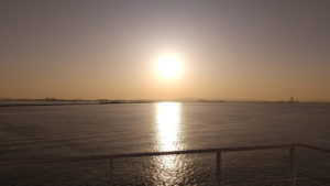 sunflower gold deck view morning6