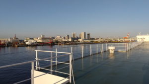 sunflower gold deck view morning7