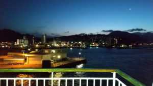 sunflower gold deck view3