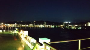 sunflower gold deck view5