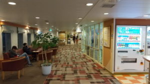 sunflower gold promenade