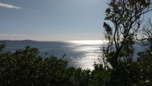 naruto park pathway view1