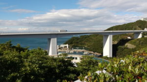 o musem view from garden