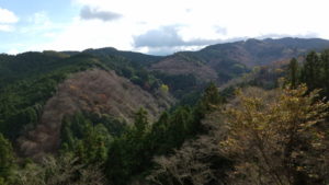 yoshimizu shrine view