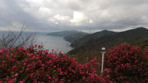 seto observation rest area view